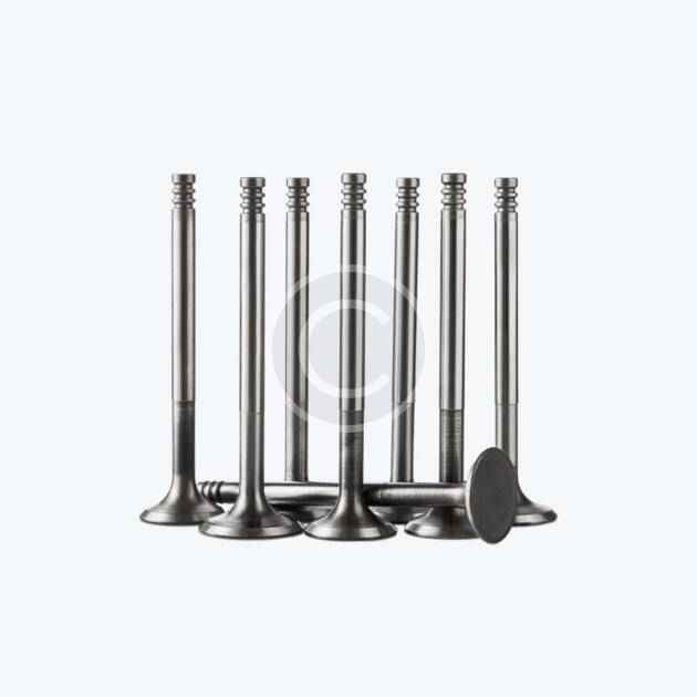 Intake valves