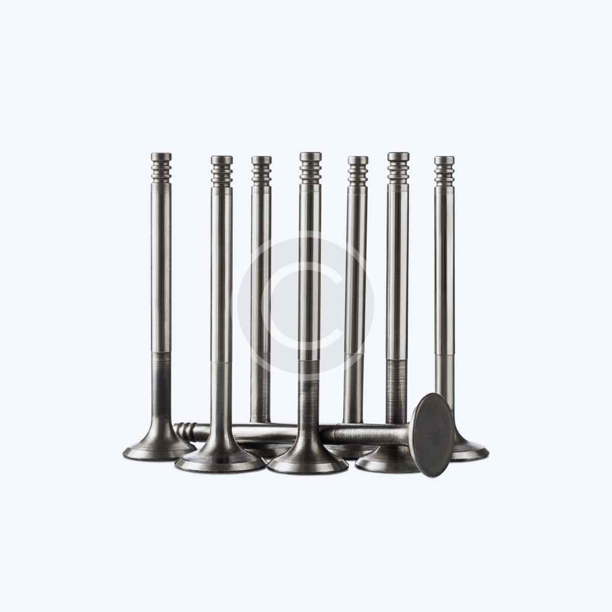 Intake valves